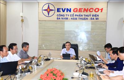 Đoàn công tác của EVN kiểm tra công tác quản lý an toàn các đập thủy điện tại Công ty cổ phần Thủy điện Đa Nhim - Hàm Thuận - Đa Mi