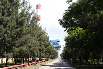 Công ty Nhiệt điện Duyên Hải: song hành sản xuất với bảo vệ môi trường xanh – sạch – đẹp